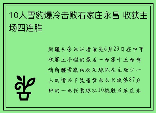 10人雪豹爆冷击败石家庄永昌 收获主场四连胜